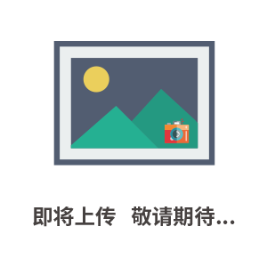 電控系統(tǒng)
